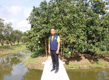 ลงพื้นที่ตรวจเยี่ยมและติดตามการดำเนินงานของศูนย์เรียนรู้การปลูกส้มโอทับทิมสยามบ้านแสงวิมานตำบลคลองน้อย อำเภอปากพนัง จังหวัดนครศรีธรรมราช โดยนายชวกิจจ์ สุวรรณคีรี รองผู้ว่าราชการจังหวัดนครศรีธรรมราช กล่าวต้อนรับพร้อมนายวิศิษฐ์ ศรีสุวรรณ์ อธิบดีกรมส่งเสริม ... พารามิเตอร์รูปภาพ 25